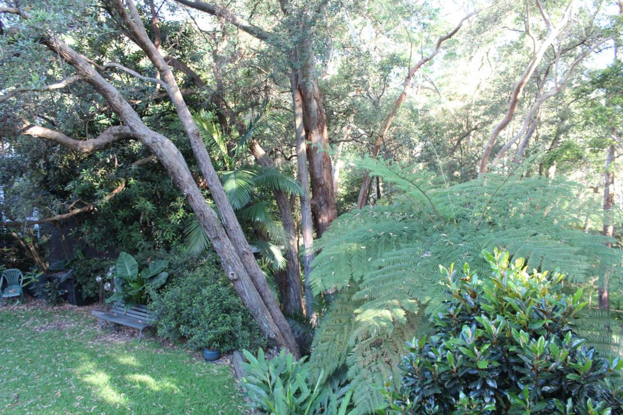 Bushland Setting Close To Sydney Cbd- Stand Alone Apartment Buitenkant foto